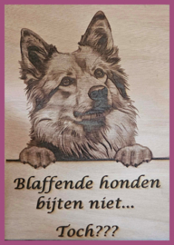 Ijslandse hond € 14,99