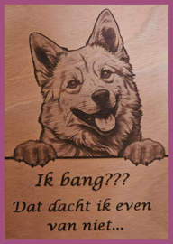 Finse spits € 14,99