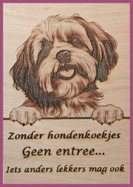 Shih tzu 01 € 14,99