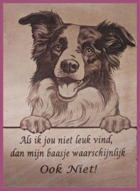 Border Collie 01 € 14,99