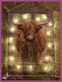 Wandkleed met LED verlichting €16,99