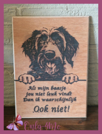 Ruwharige Pointer 14,99