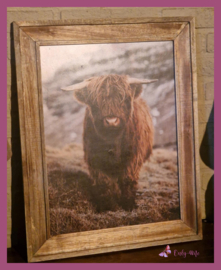 Landelijk houten fotolijst met Schotse Hooglander € 29,99