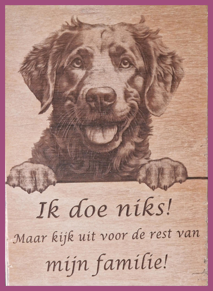 Bay retriever ( Waterhond) € 14,99