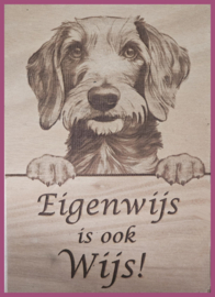 Teckel (ruwhaar) € 14,99