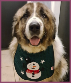 Kerstslabber "Sneeuwman" € 19,95
