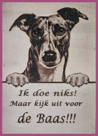 Greyhound € 14,99