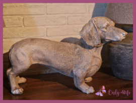 Beeld Teckel € 69,99