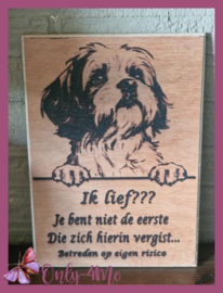 Shih tzu € 14,99