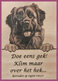 Leonberger 01 € 14,99