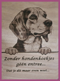 Beagle 01 € 14,99