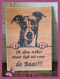 Greyhound 14,99