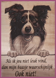 Border Collie € 14,99