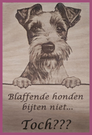 Fox terrier € 14,99