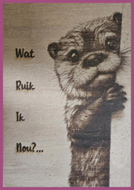 Wc bord Otter € 9,99