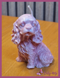 Kaars " Cocker Spaniel € 4,99
