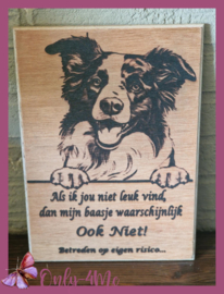 Border Collie € 14,99