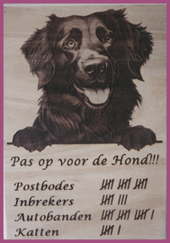 Flatcoated retriever € 14,99