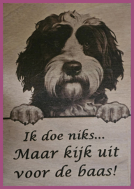 Portugese waterhond € 14,99