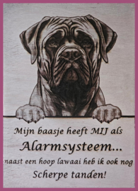 Bullmastiff € 14,99