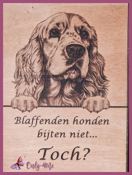 Cocker Spaniel € 14,99