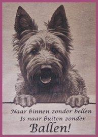 Hollandse herder ( ruwhaar) € 14,99