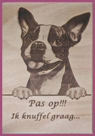 Bostonterriër € 14,99