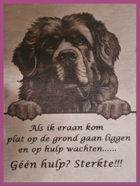 Tibetaanse mastiff € 14,99
