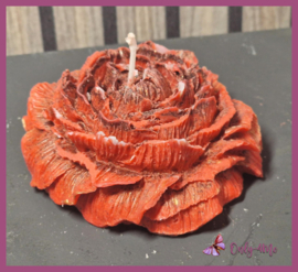 Kaars Roos rood/oranje € 5,99