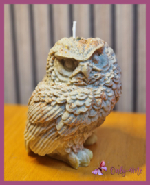 Kaars "uil" € 9,99