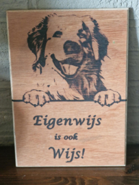 Pyreneese berghond 14,99