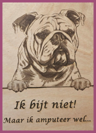 Bully € 14,99