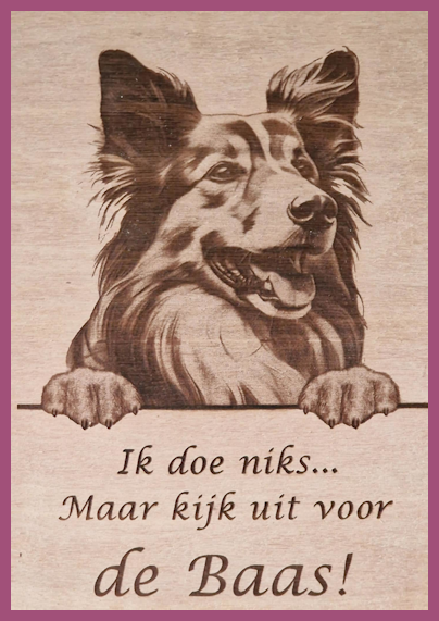 Shelty € 14,99