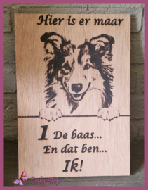 Shelty € 14,99