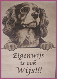 Cavalier King Charles Spaniël € 14,99