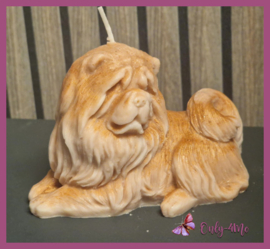 Kaars "Chowchow"€ 9,99