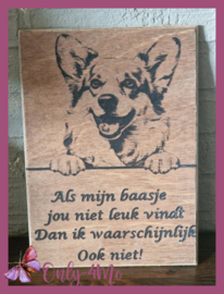 Corgi € 14,99
