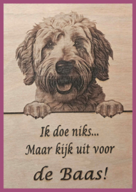 Labradoodle 01 € 14,99