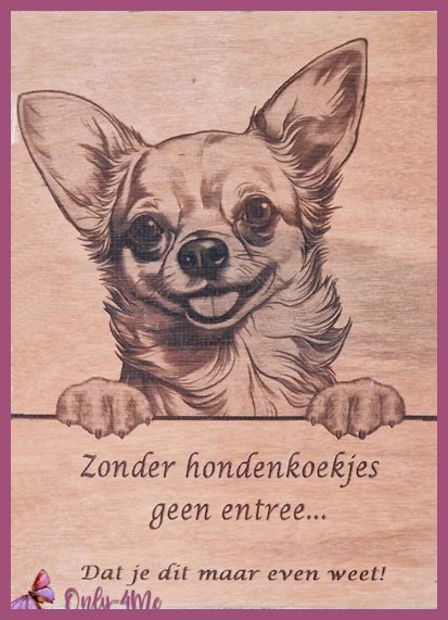 Chihuahua 14,99