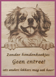 Tibetaanse spaniel € 14,99