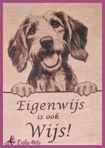 Teckel (ruwhaar) € 14,99