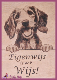 Teckel (ruwhaar 01) € 14,99