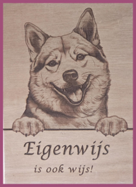 Shiba Inu € 14,99