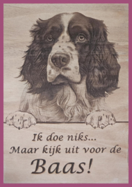Engelse Springer € 14,99