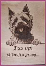 Cairn terriër € 14,99