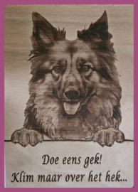 Duitse herder "langhaar" € 14,99