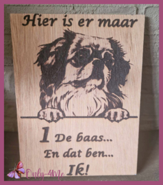 Pekinees € 14,99