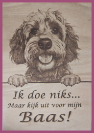 Labradoodle € 14,99