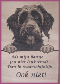 Ruwharige Pointer € 14,99