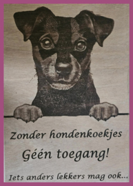 Jack Russel 02 € 14,99